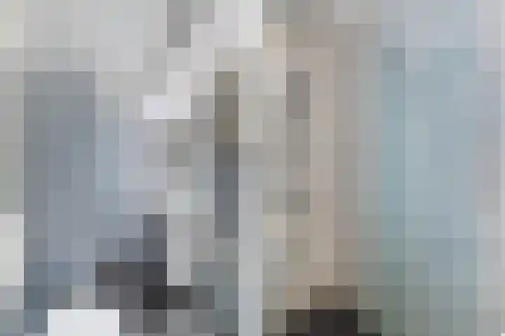 Lijtweg 202 Oegstgeest thumbnail 27