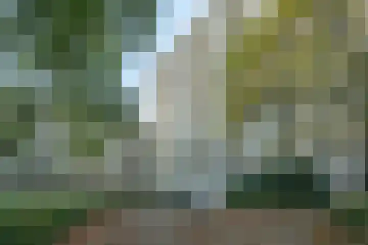 Lijtweg 202 Oegstgeest thumbnail 33