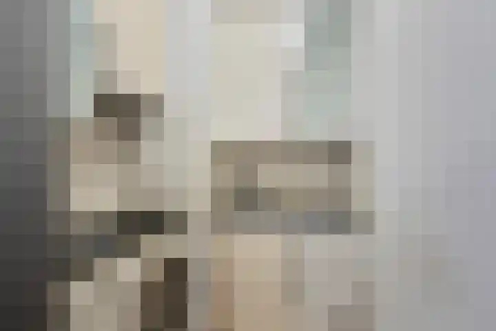 Lijtweg 207 Oegstgeest thumbnail 13