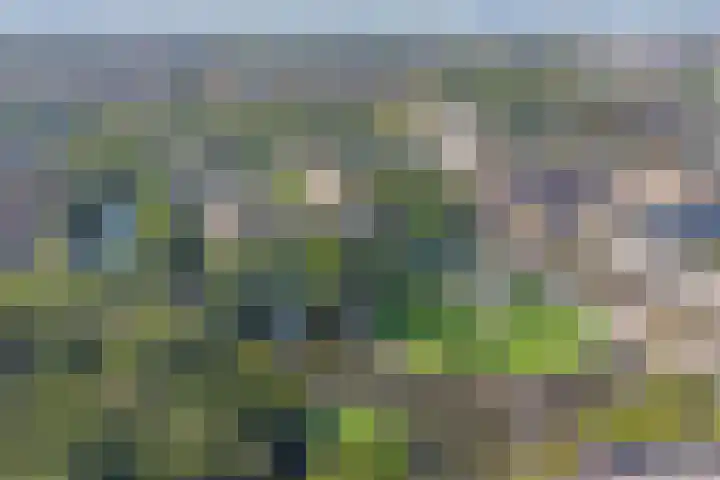 Lijtweg 207 Oegstgeest thumbnail 35