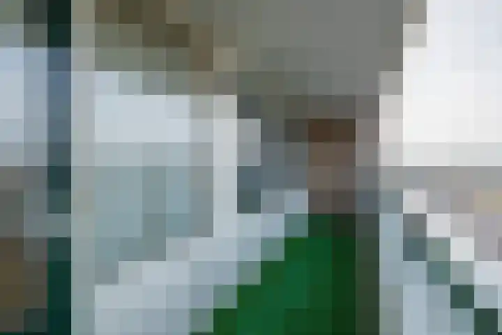 Lijtweg 508 Oegstgeest thumbnail 32