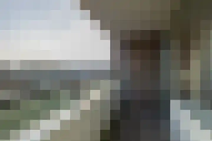 Lijtweg 508 Oegstgeest thumbnail 37