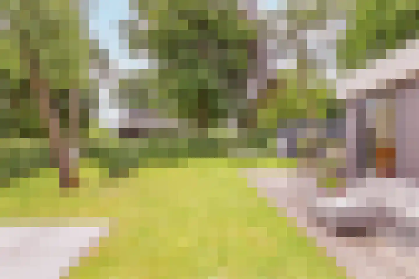 Lijtweg 61 Bergen (NH) thumbnail 24