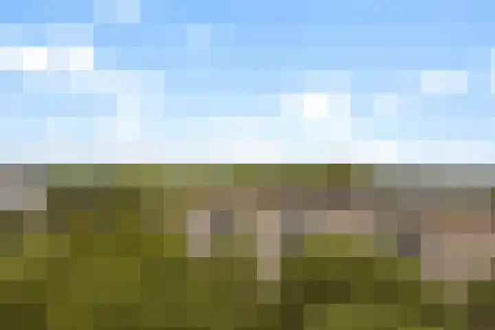 Lijtweg 702 Oegstgeest thumbnail 13