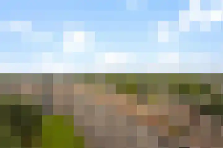 Lijtweg 702 Oegstgeest thumbnail 14