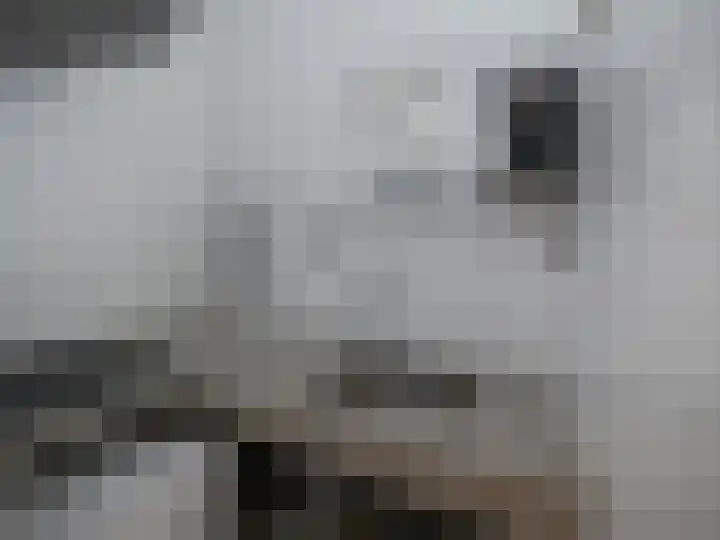 Lijtweg 702 Oegstgeest thumbnail 9