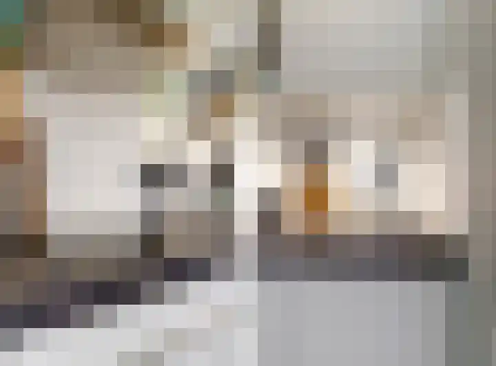 Lijtweg 707 Oegstgeest thumbnail 15