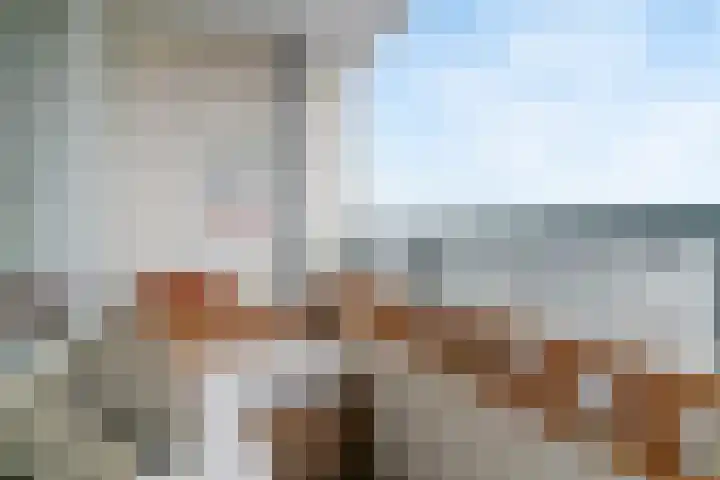 Lijtweg 707 Oegstgeest thumbnail 17