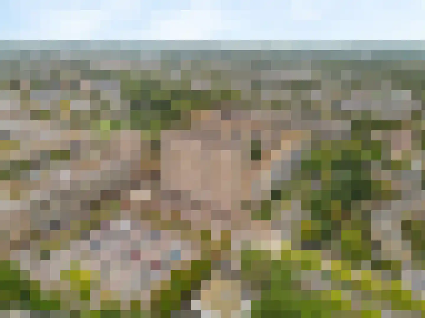 Lijtweg 901 Oegstgeest thumbnail 44
