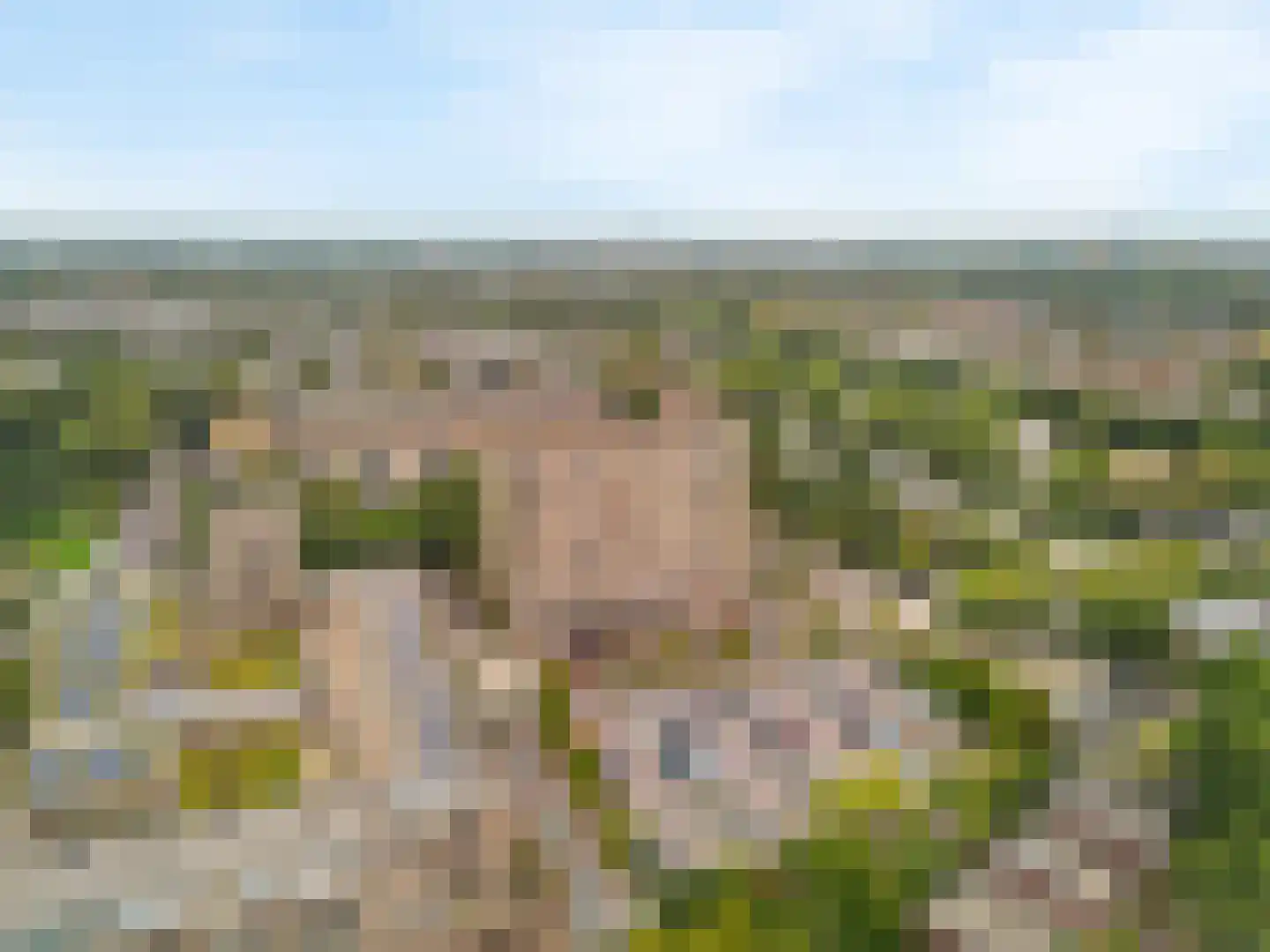 Lijtweg 901 Oegstgeest thumbnail 45