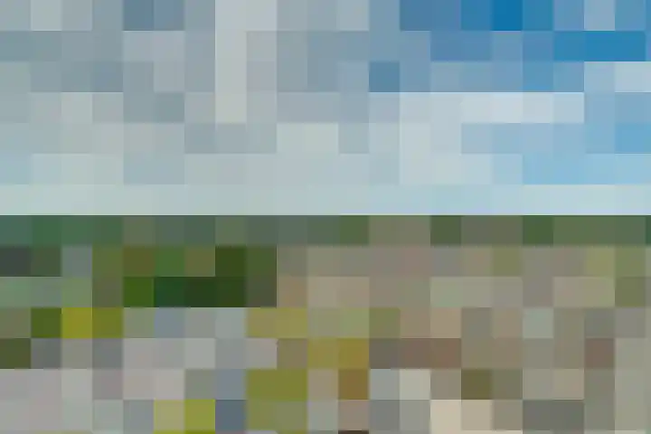 Lijtweg 903 Oegstgeest thumbnail 13