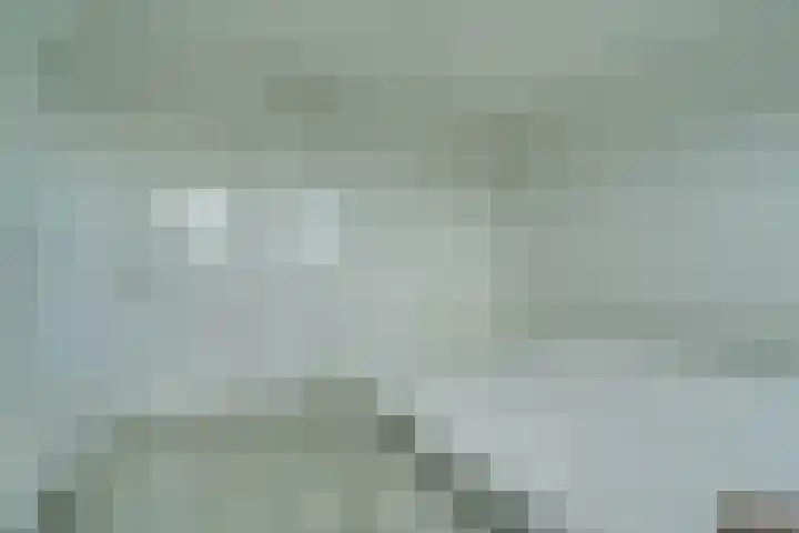 Lijtweg 903 Oegstgeest thumbnail 16