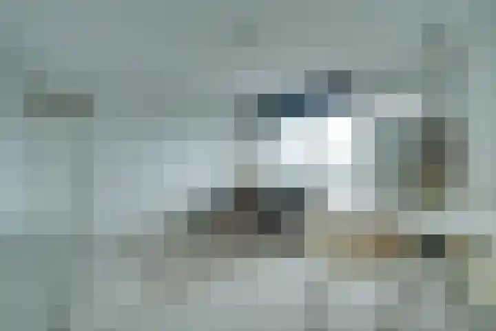 Lijtweg 903 Oegstgeest foto 2