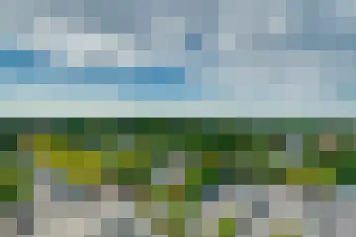 Lijtweg 903 Oegstgeest thumbnail 5