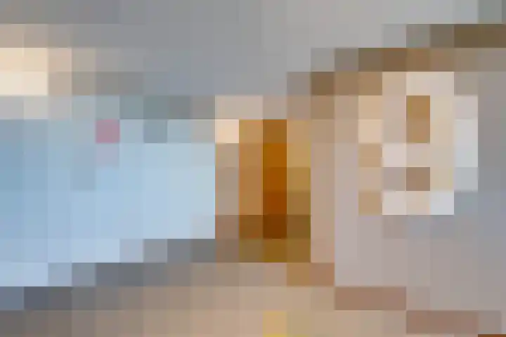 Lijtweg 903 Oegstgeest thumbnail 6