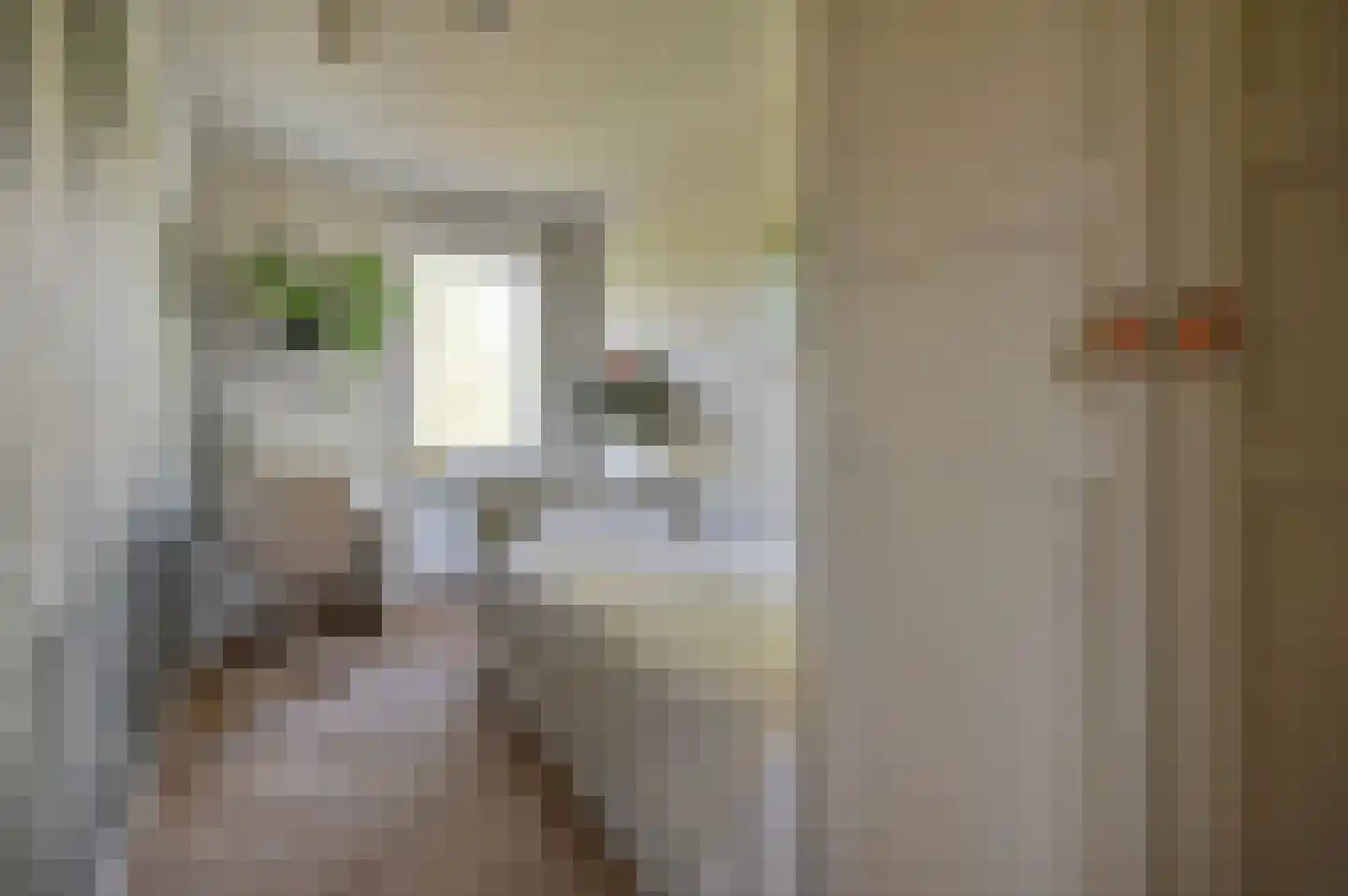 Lijzij 114 Huizen thumbnail 22