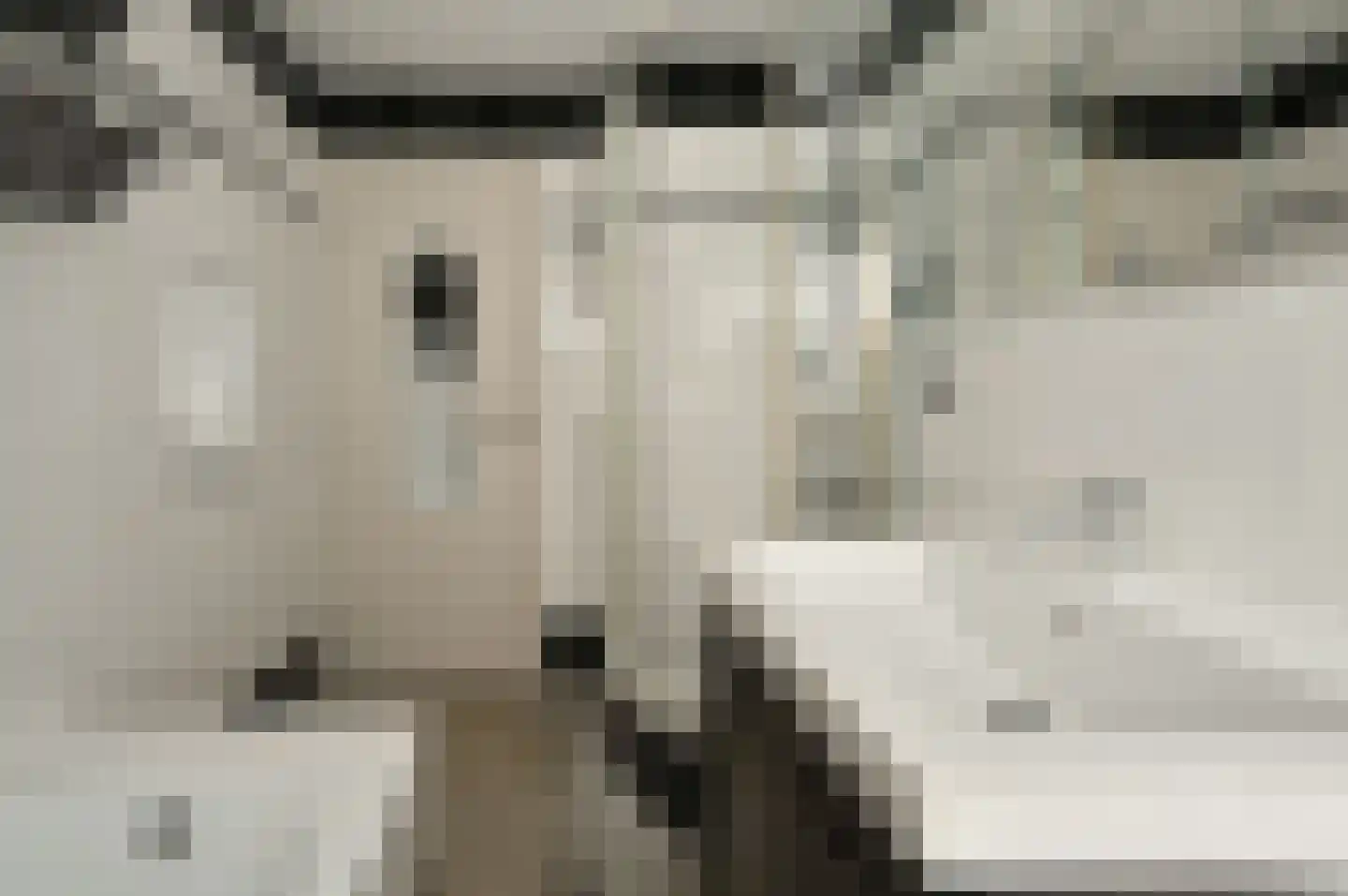 Lijzij 114 Huizen thumbnail 24