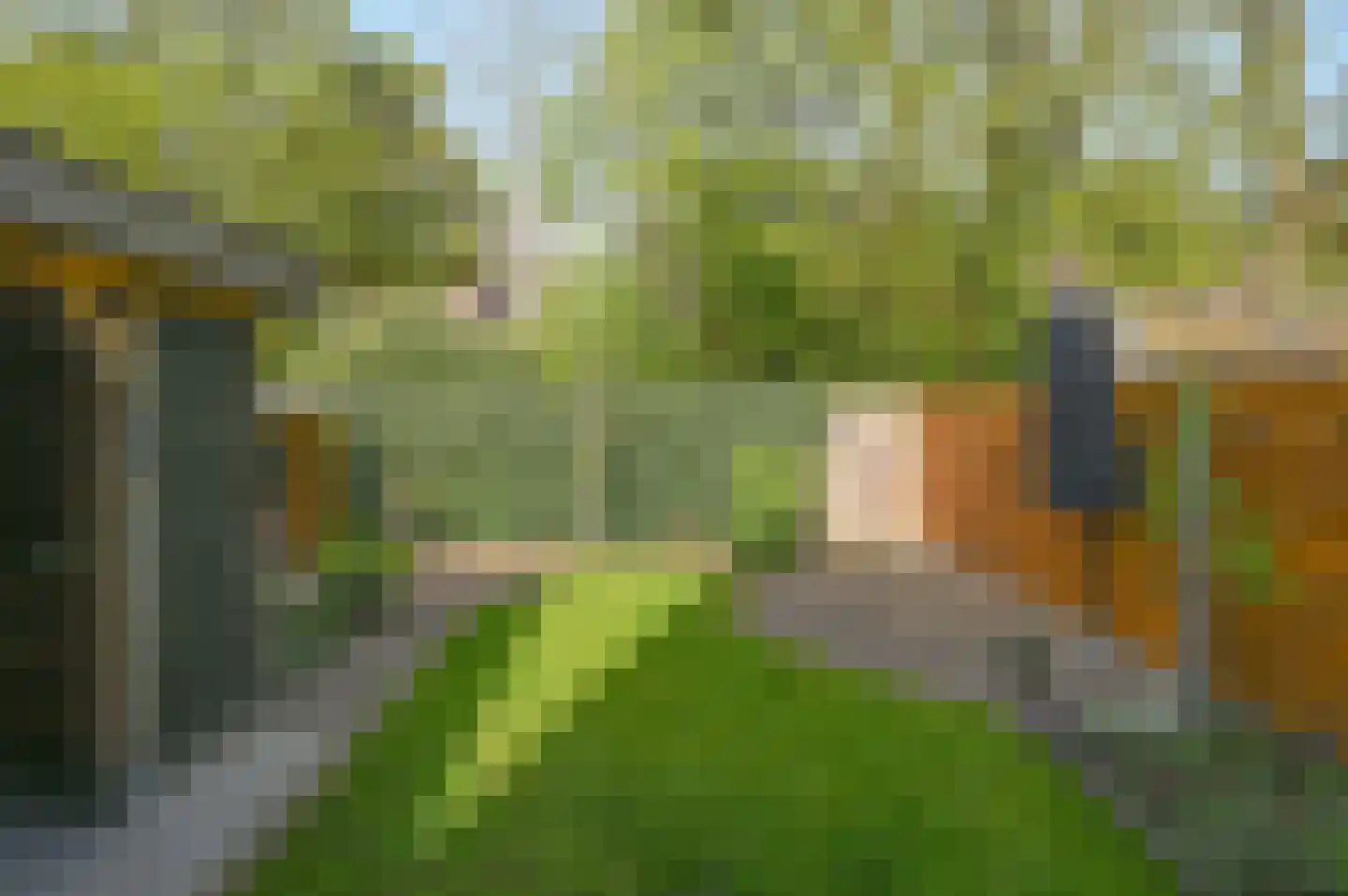 Lijzij 114 Huizen thumbnail 25