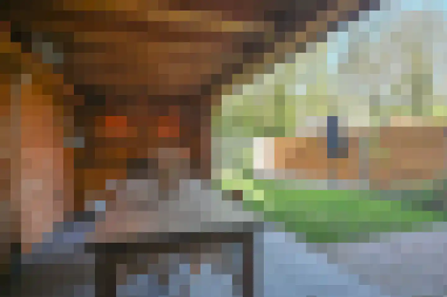 Lijzij 114 Huizen thumbnail 26