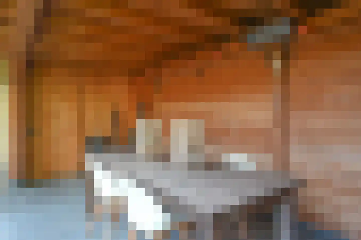 Lijzij 114 Huizen thumbnail 28