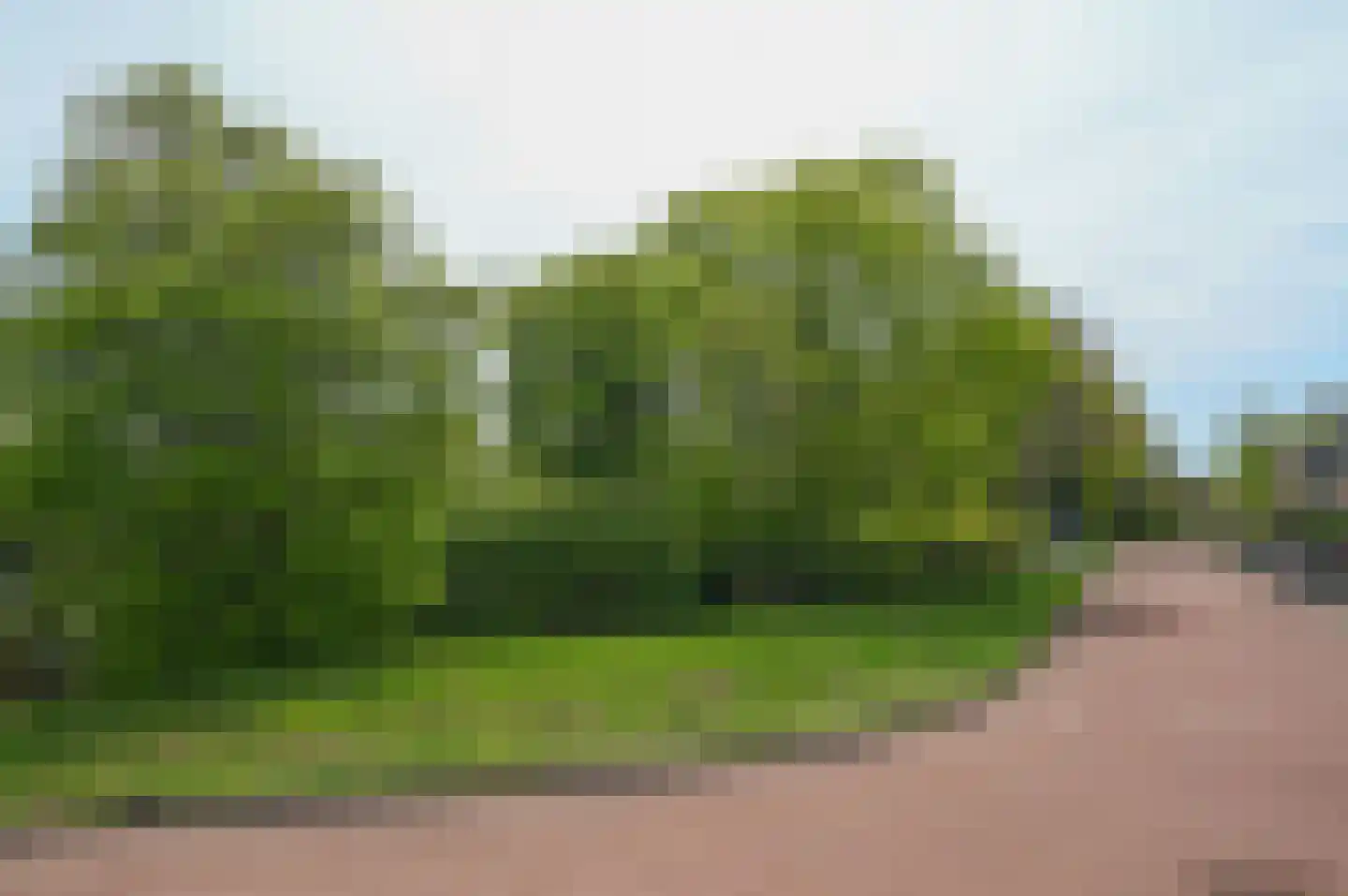 Lijzij 114 Huizen thumbnail 33