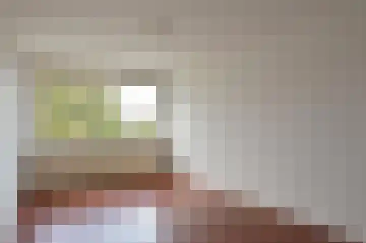 Lijzij 44 Huizen thumbnail 13
