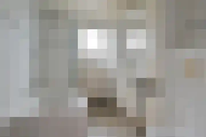 Lijzij 44 Huizen thumbnail 16