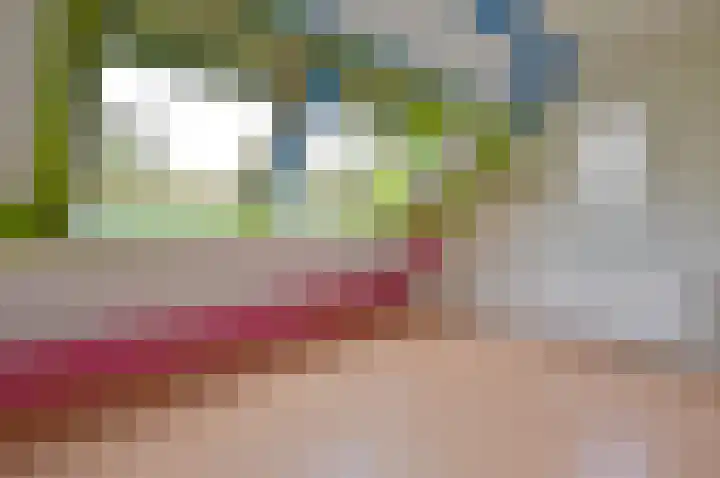 Lijzij 44 Huizen thumbnail 17