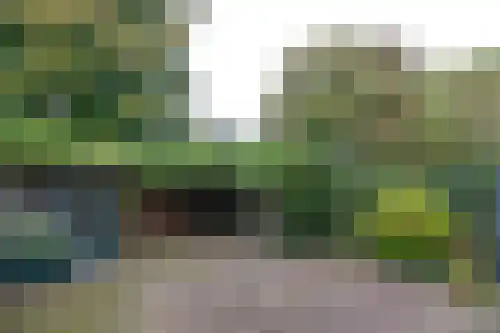 Lijzij 44 Huizen thumbnail 20