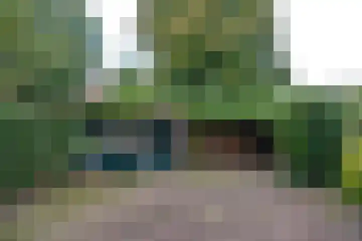 Lijzij 44 Huizen thumbnail 21