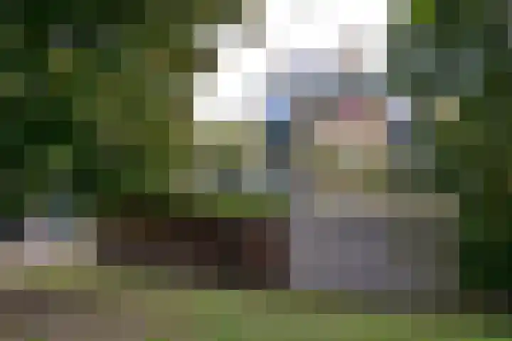 Lijzij 44 Huizen thumbnail 24