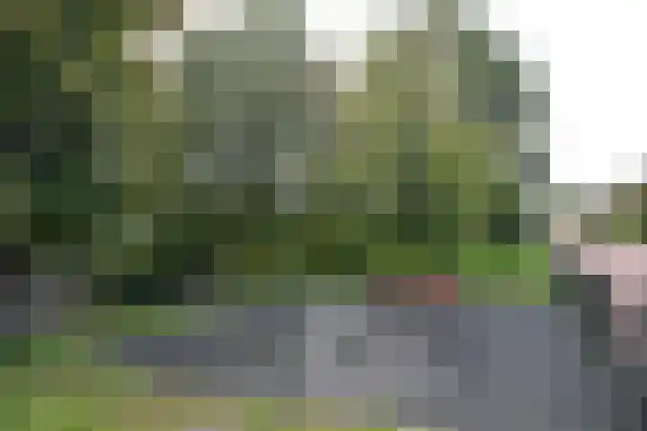 Lijzij 44 Huizen thumbnail 25