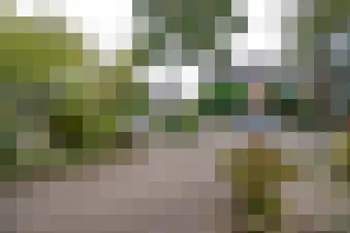 Lijzij 44 Huizen thumbnail 27