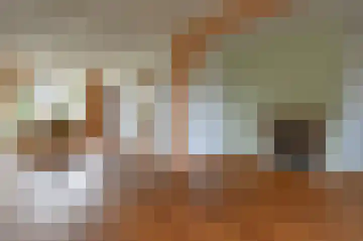 Lijzij 44 Huizen thumbnail 6