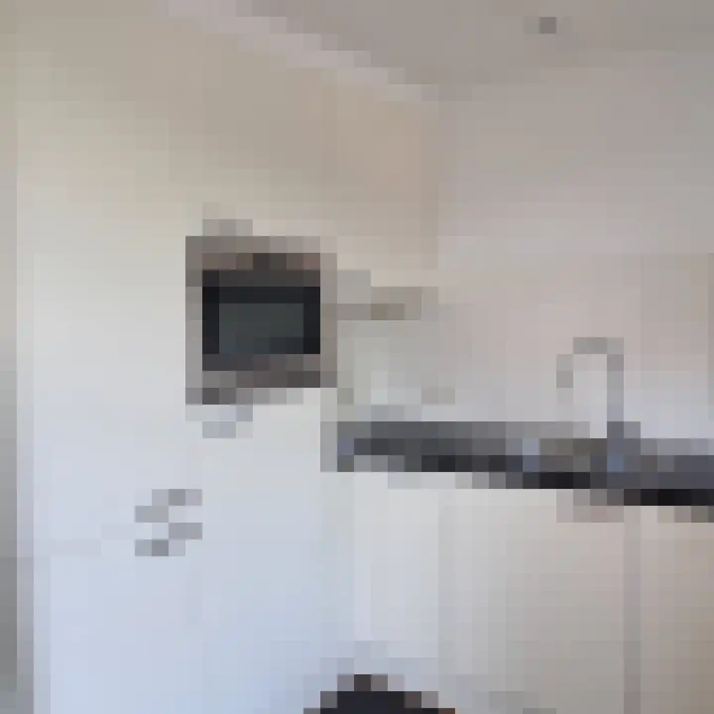 Lijzij 46 Huizen thumbnail 11