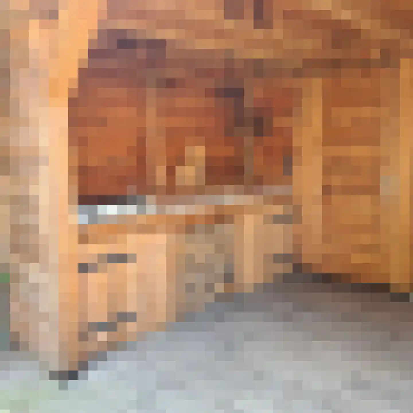 Lijzij 46 Huizen thumbnail 17
