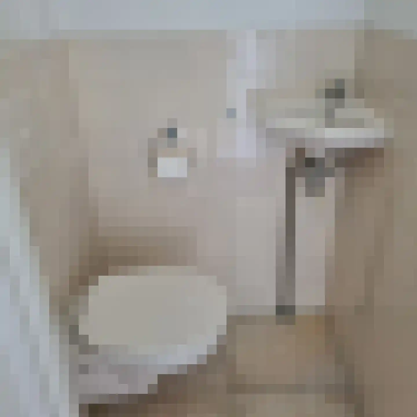 Lijzij 46 Huizen thumbnail 8