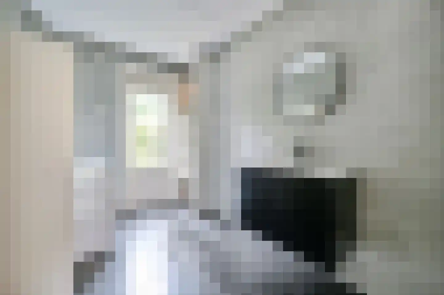 Lijzij 74 Huizen thumbnail 12