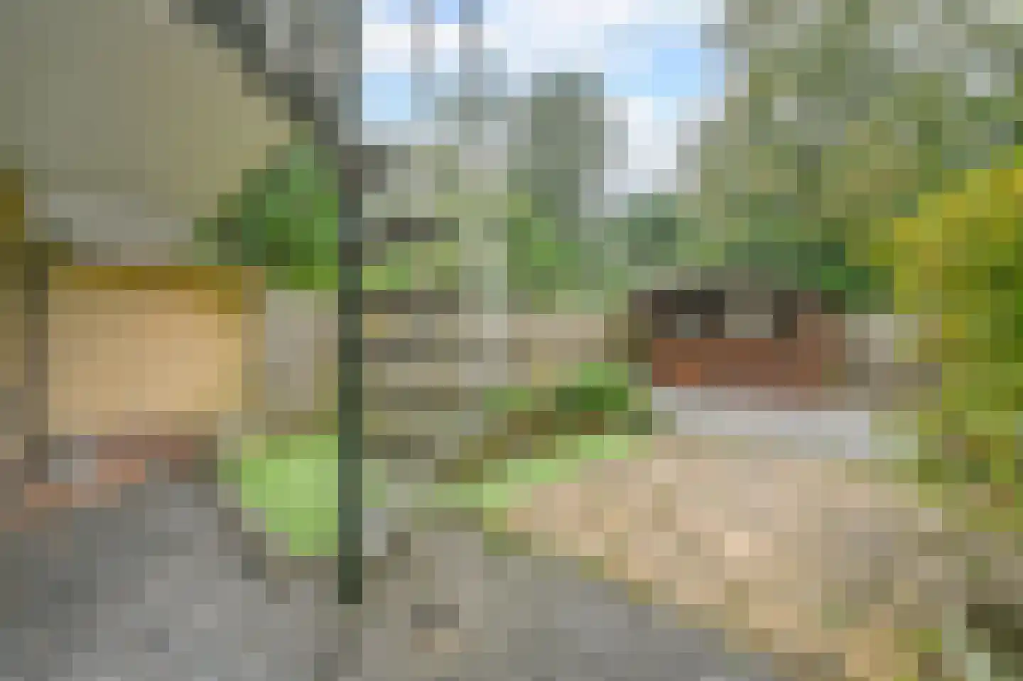 Lijzij 74 Huizen thumbnail 13