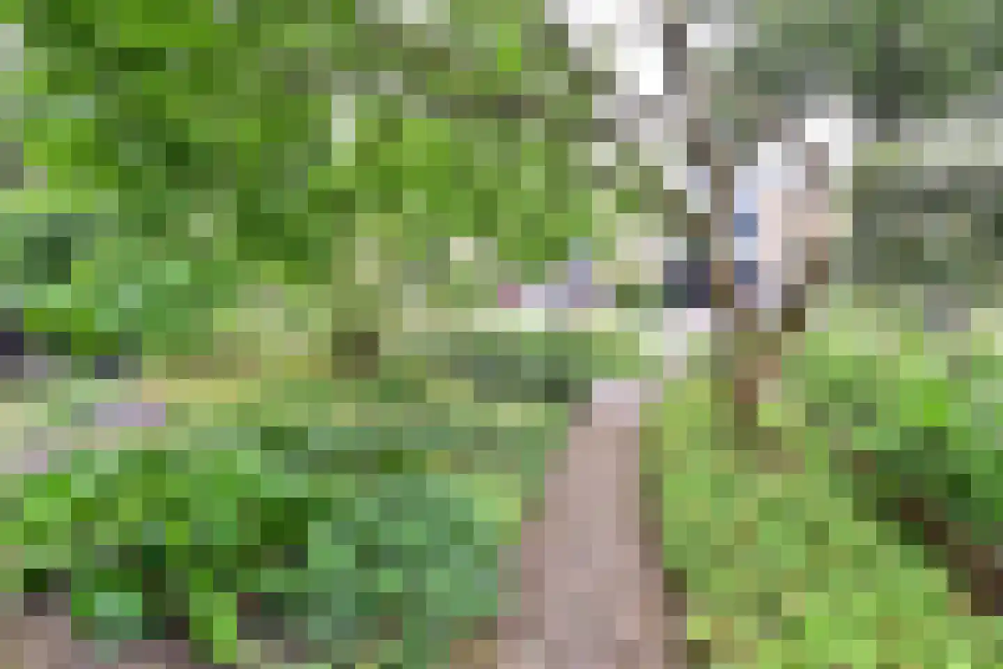 Lijzij 79 Huizen thumbnail 17