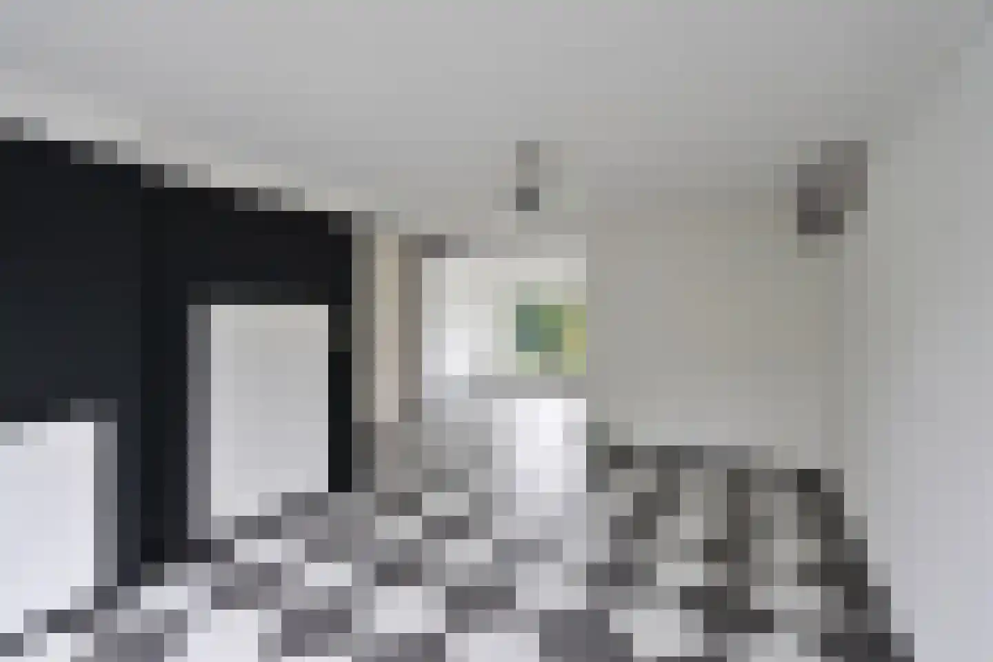 Lijzij 79 Huizen thumbnail 4