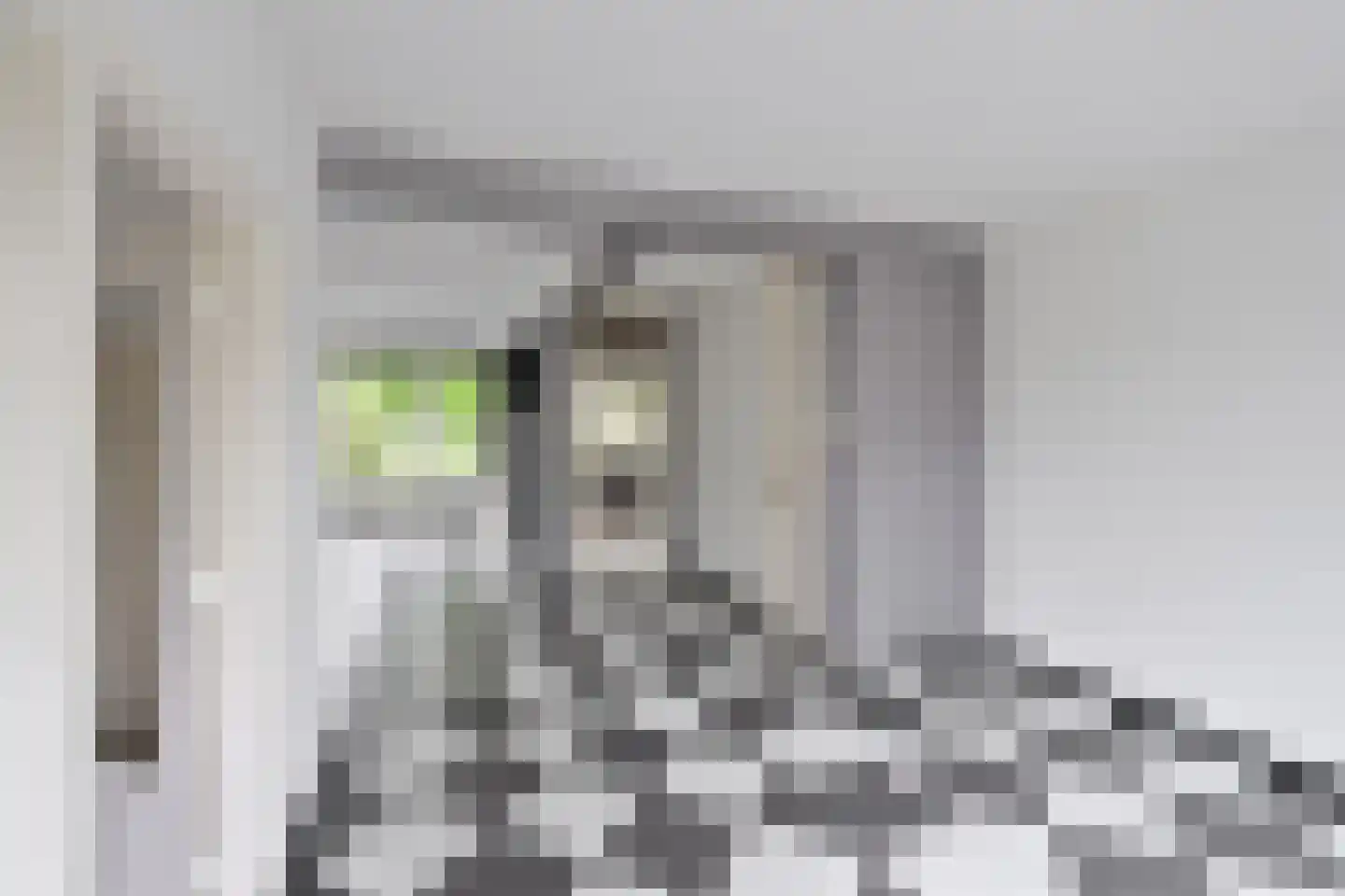Lijzij 79 Huizen thumbnail 5