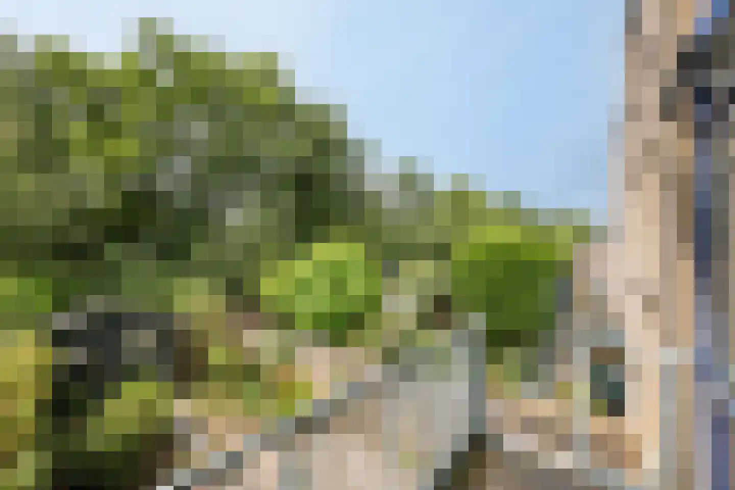 Lijzij 86 Huizen thumbnail 14
