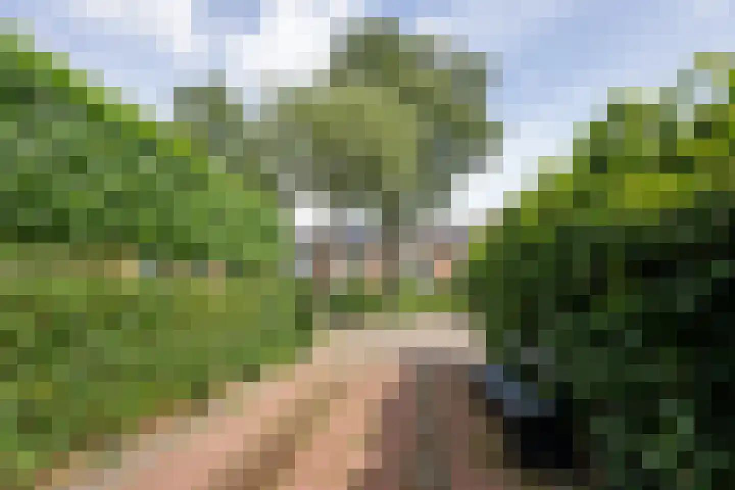 Lijzij 86 Huizen foto 2