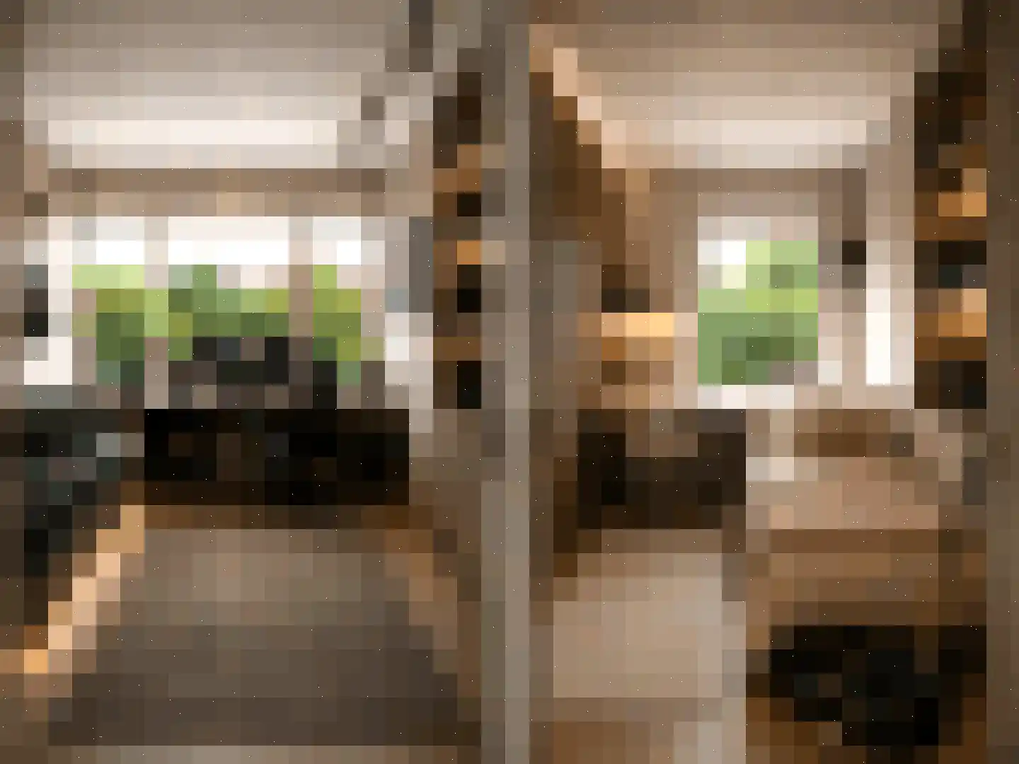 Lijzij 86 Huizen thumbnail 20