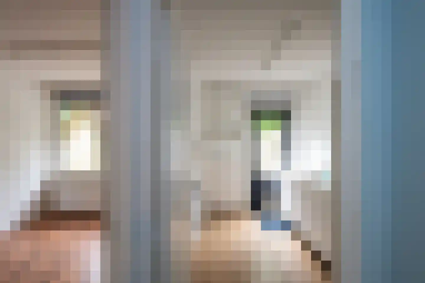Lijzij 86 Huizen thumbnail 5