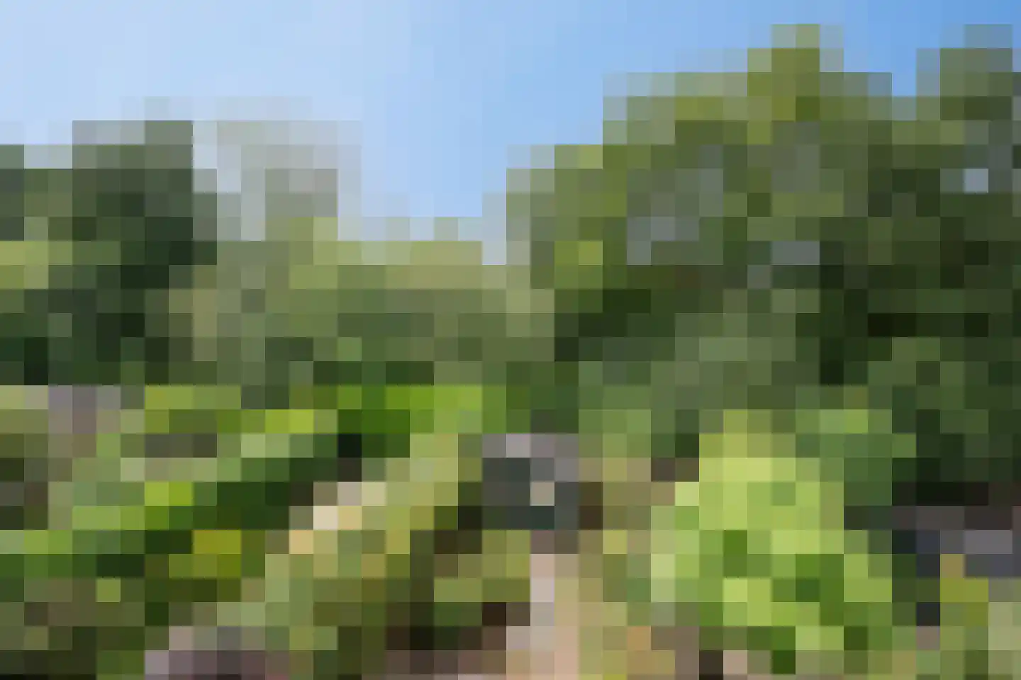Lijzij 86 Huizen thumbnail 7