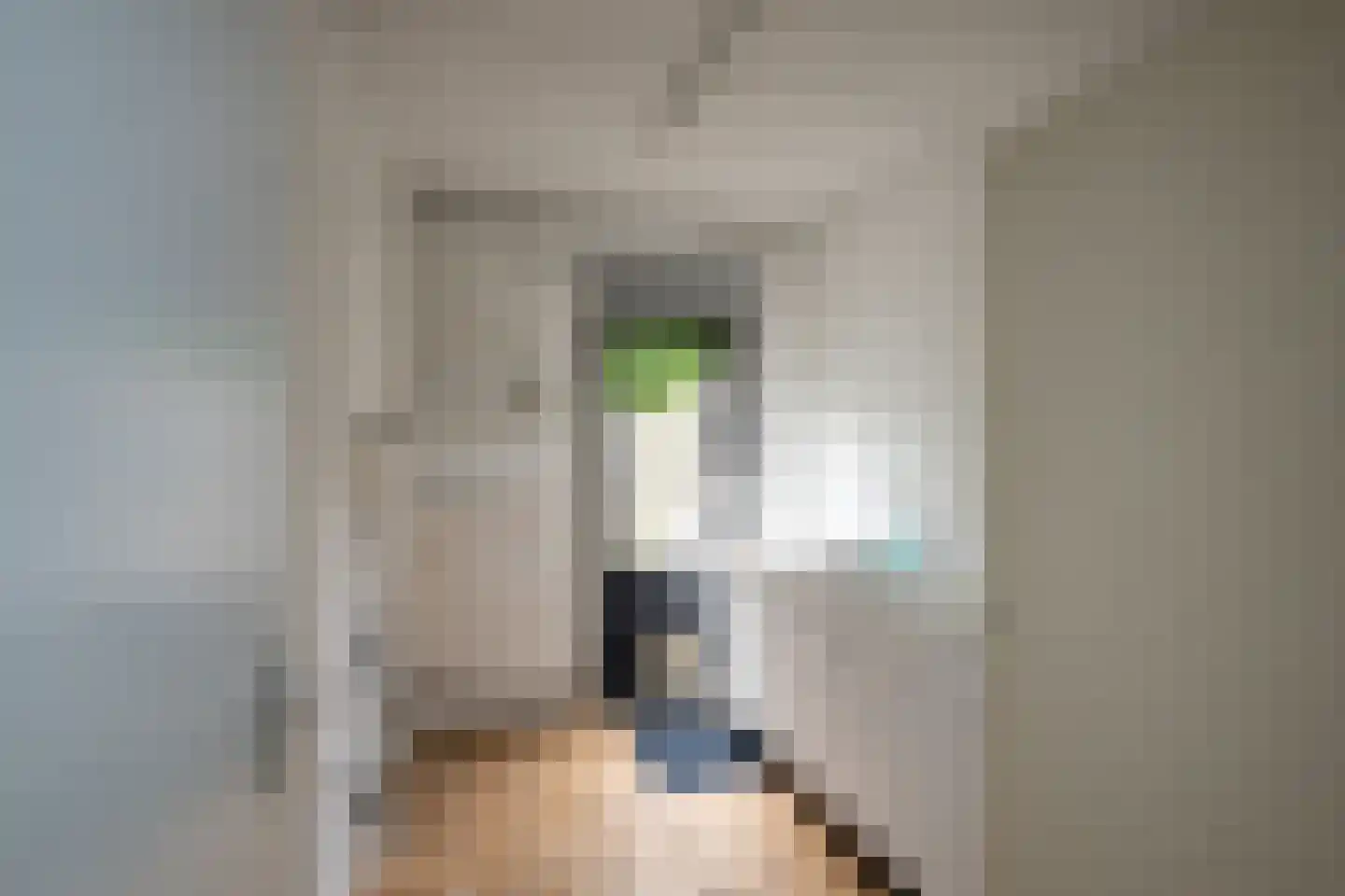 Lijzij 86 Huizen thumbnail 9