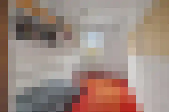 Lijzij 88 Huizen thumbnail 12