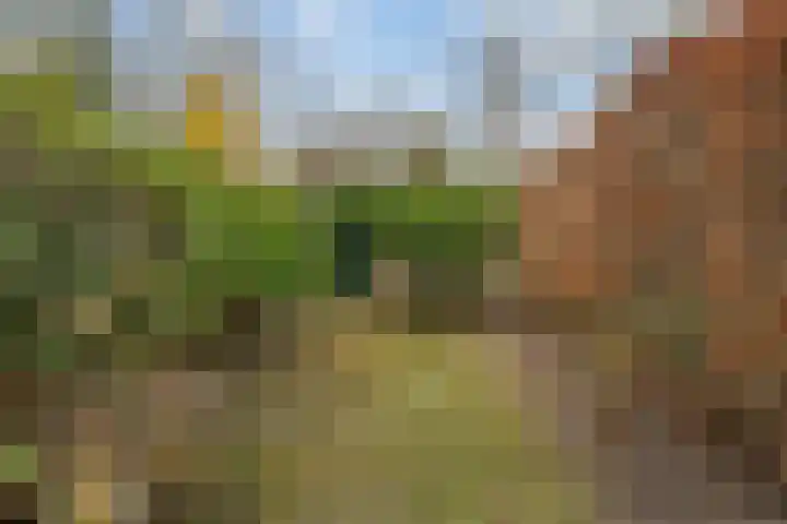 Lijzij 88 Huizen thumbnail 18